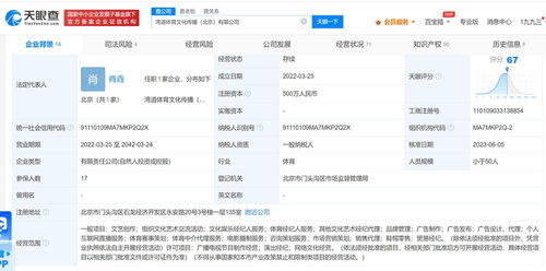 王濛445萬元股權(quán)凍結(jié)風(fēng)波 流言紛飛中的真相探尋