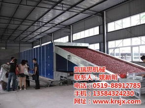 烘干設(shè)備 萬壽菊烘干設(shè)備 凱瑞思機(jī)械公司實力雄厚 多圖